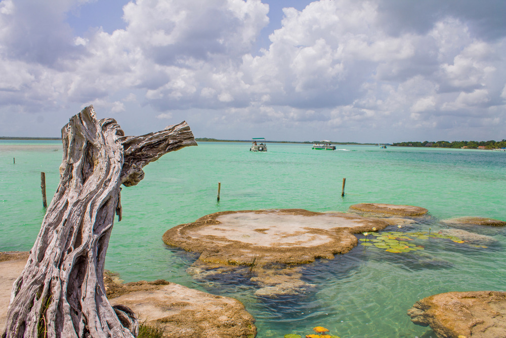 Cenote Cocalitos