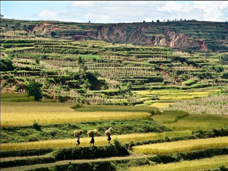 Nomadays : des agences de voyage qui œuvrent pour le tourisme solidaire 