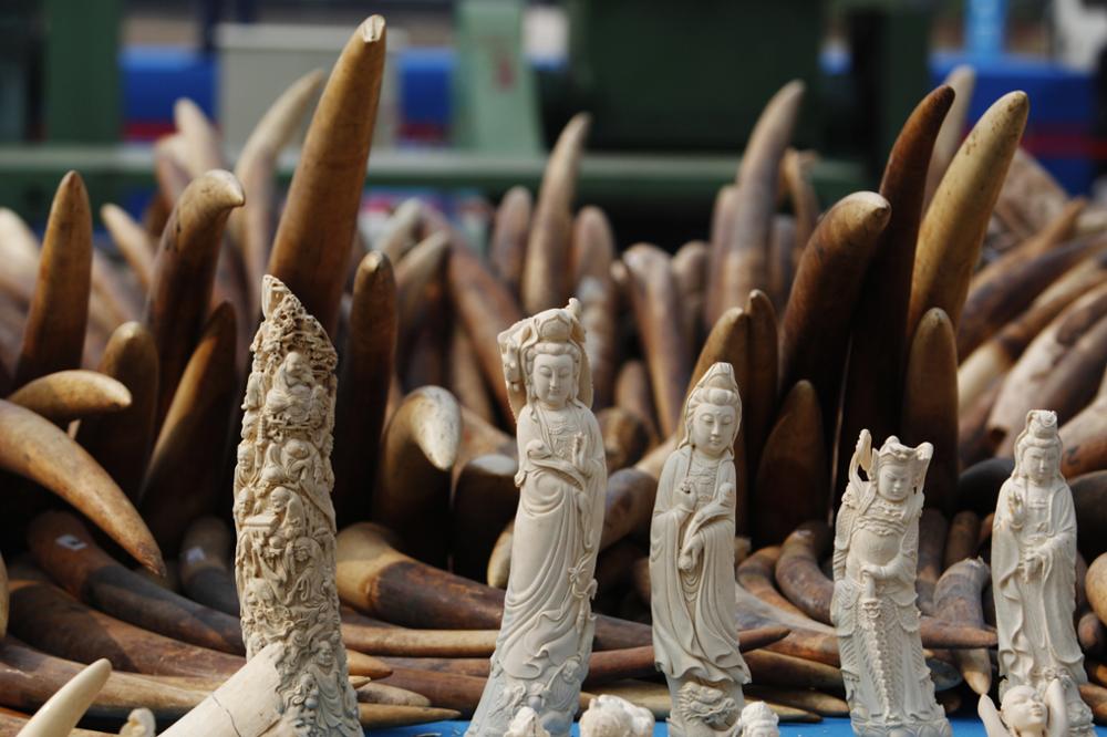 Souvenirs de vacances : ce qu’il ne faut pas ramener