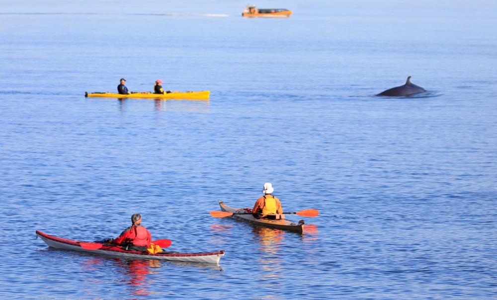 Tadoussac et l'île de Vancouver, Canada