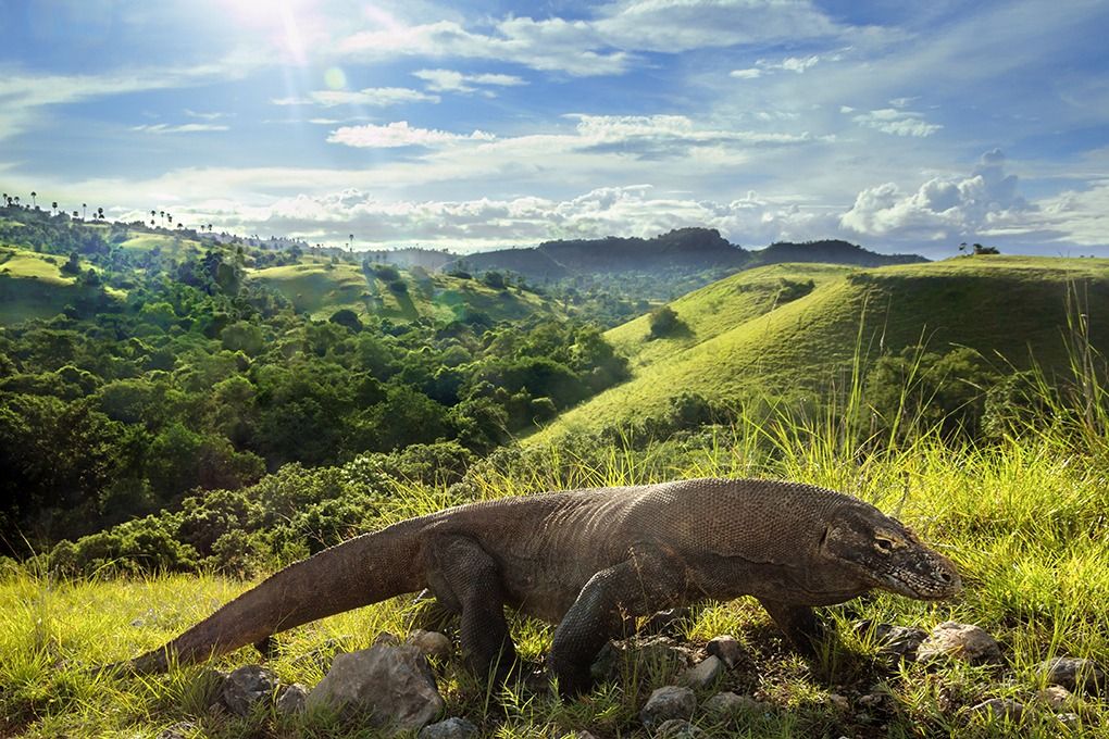 Sulawesi, Java, Bali, Flores & Komodo - Indonesia Travel | Azimuth